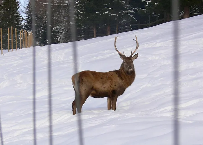 Haus Sonnenweg Leutasch